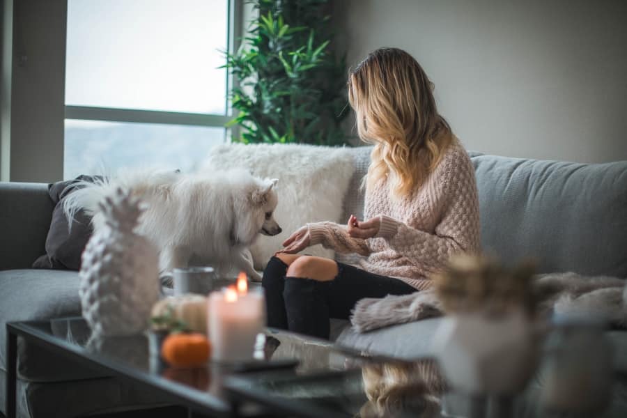 woman relaxing at home with dog